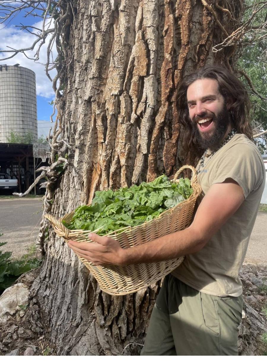 Scott West holding a basket of freshly harvested greens from a Boulder community garden